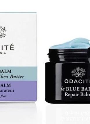 Відновлюючий базьзам odacité le blue balm blue chamomile + shea butter repair 50ml