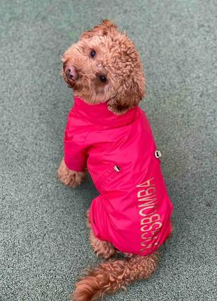 Дождевик для собак со скрытым капюшоном красный2 фото