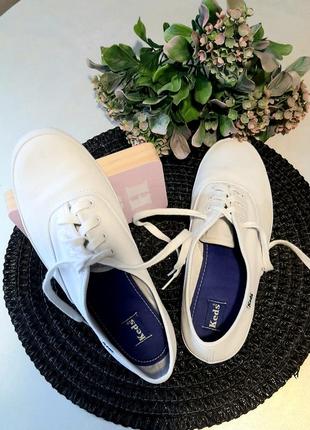 enzo angiolini mules