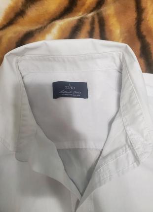 Тенниска шведка2 фото