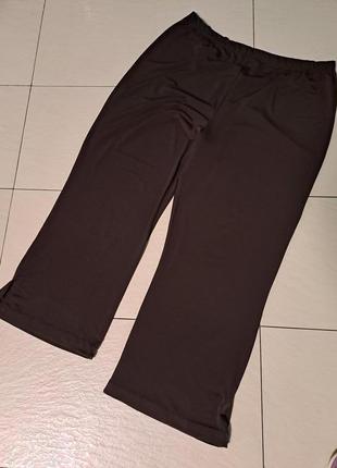 Еластичні штани 18-20 розміру