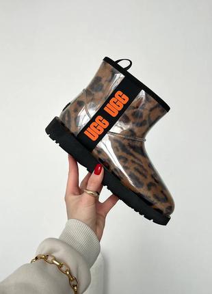 Угги угги уггинс ugg classic clear mini leo