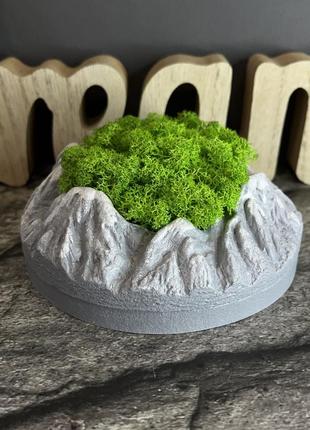 Кашпо с мохом «горы»2 фото