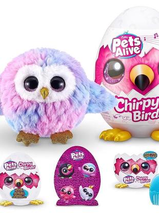 Pets alive chirpy birds (owl) by żuru