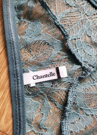Розкішні мереживні трусики від французького бренду chantelle8 фото