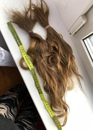 Натуральные детские волосы срез 40 см свет русый