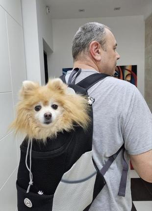 Сумка-переноска, рюкзак для собаки або котика6 фото