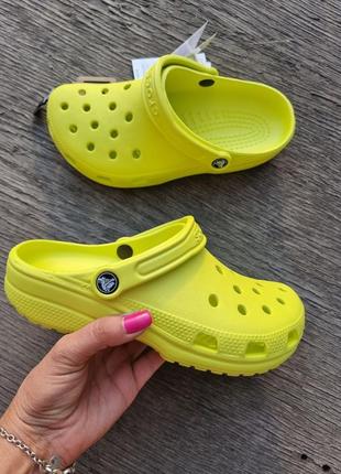 Сабо  в лаймовому кольорі на кожен день crocs classic