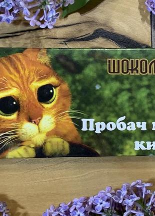 Шоколад пробач мене, кицю...