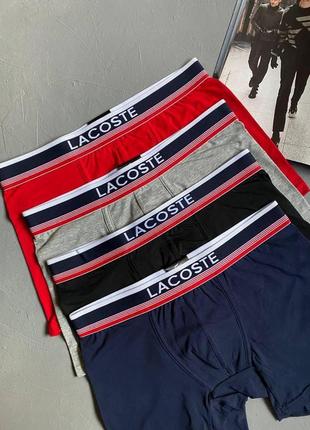 Мужской набор трусов lacoste Marine 4 шт