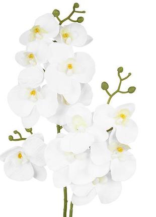Орхідея латексна 50см біла гранд презент 7130421 фото