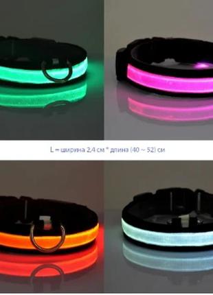 Нашийник для собак, що світиться, на акумуляторі usb glow ring2 фото