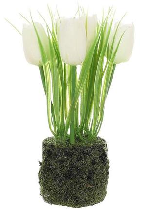 Декоративна композиція тюльпани білі зі штучним мохом 22см гранд презент 714-131