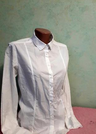 Брендовая рубашка блуза