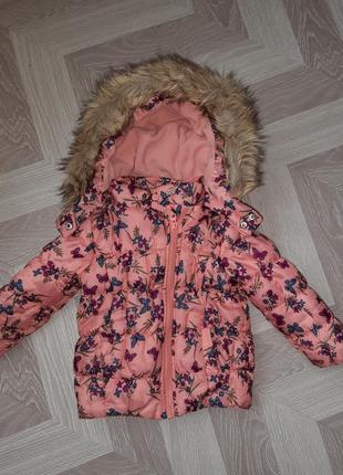 Курточка весна осень.