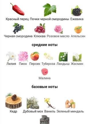 Burberry touch for women распив, отливант, затест