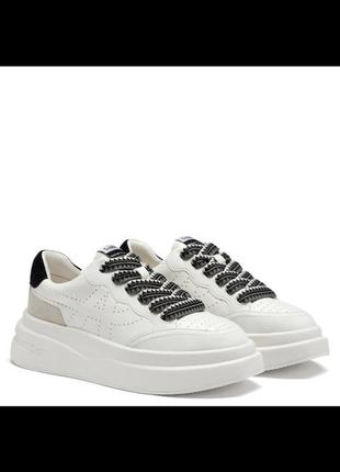 Ash impuls bis eco platform trainers black and white1 фото