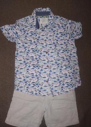 Набор рубашка stuff и шорты h&amp;m на мальчика 4-5 лет