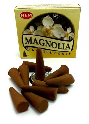Magnolia (магнолія) (hem) конуси