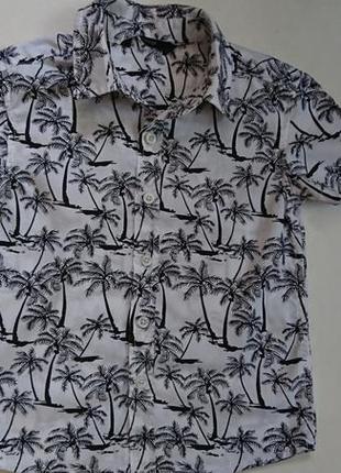 Рубашка george в пальмах  4-5 лет6 фото