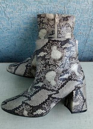Жіночі ботільони черевики new look з принтом зміїної шкіри.