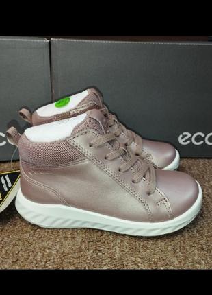 Ботинки кожаные, непромокаемые ecco first pink, gore-tex!