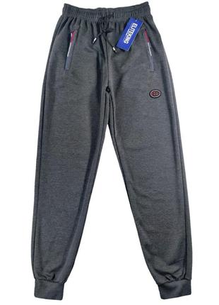 Штани спортивні чоловічі під манжет демісезонні 46,48,50,52,54