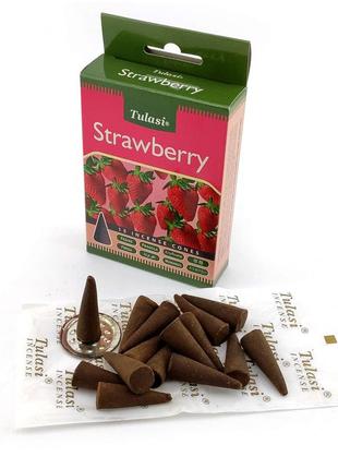 Strawberry premium incense cones (полуниця) (tulasi) конуси