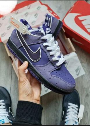 Чоловічі кросівки nike sb dunk low  concepts purple lobster