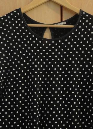 Супер брендовая блуза блузка горох3 фото