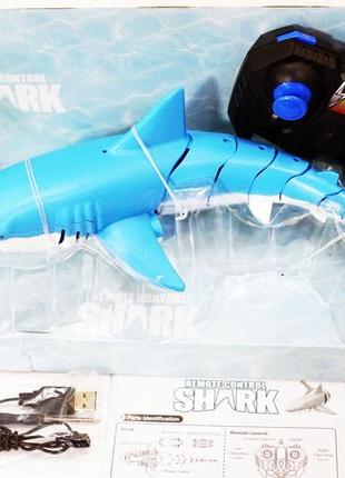 Інтерактивна риба, акула "shark" для дітей на радіокеруванні dr7 фото