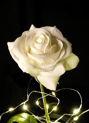 Вечная роза в колбе, led светильник ночник роза под стеклом искусственные цветы подарок4 фото
