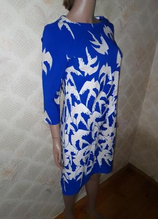 Платье с птичками цвет электрик nelly&co3 фото