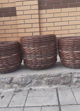 Ось такі  красунчики - дерево на 8 і 10 літрів