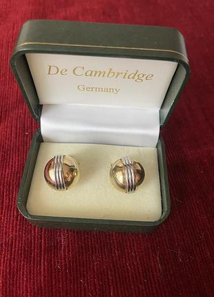 Винтажные клипсы napier