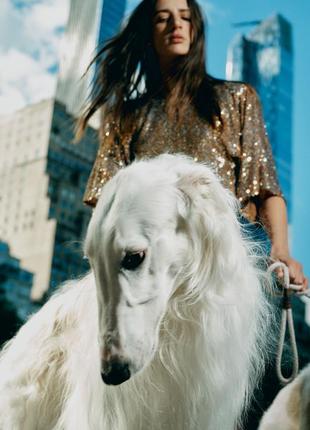 Коротка сукня з паєтками5 фото