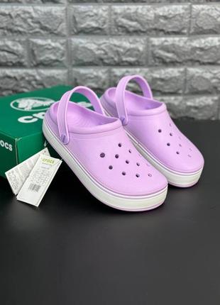 Crocs жіночі яскраві крокси сабо розміри 36-41