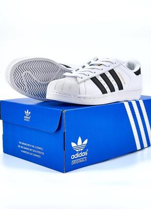 Мужские кеды adidas superstar white black