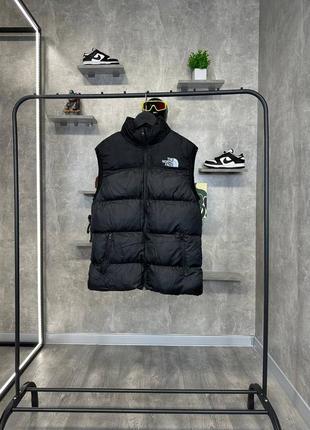 Чоловіча жилетка the north face