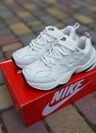 Женские кроссовки lebron 9 ohio state sneakers wmns nike найк бежевого цвета