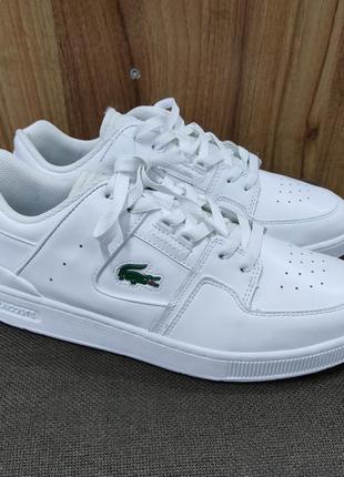 Кросівки lacoste