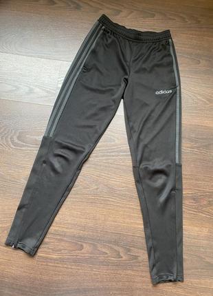 Спортивні штани adidas climalite