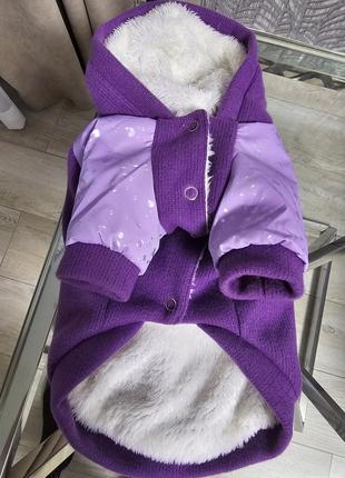 Толстовка для собак pet fashion «lilac» xs-2