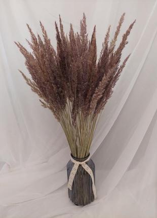 Полевая трава сушен диворос композиции