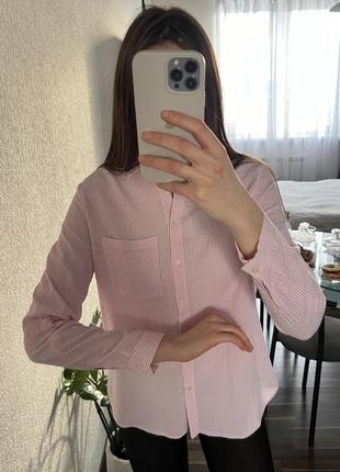 Рожева сорочка/рубашка/блуза в білу смужку papaya