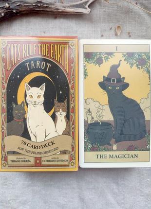 Гадальные карты таро кошки правят землей cats rule the earth tarot таро с котиками котами колода1 фото