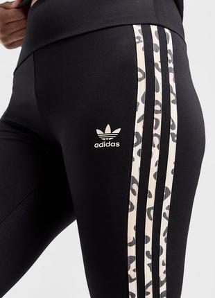 Лосини легенси adidas original