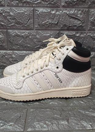 Кроссовки adidas top ten hi (оригинал)