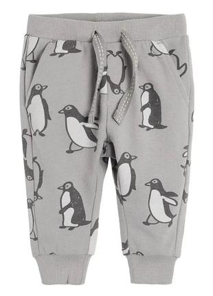 Штанишки джоггеры от cool club