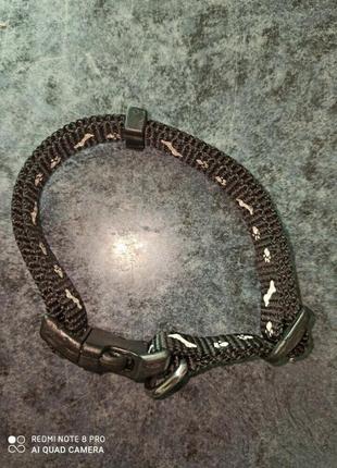 Нашийники для собак середніх порід